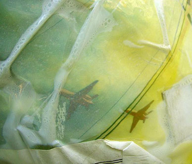 photo by a. fluffy bunny