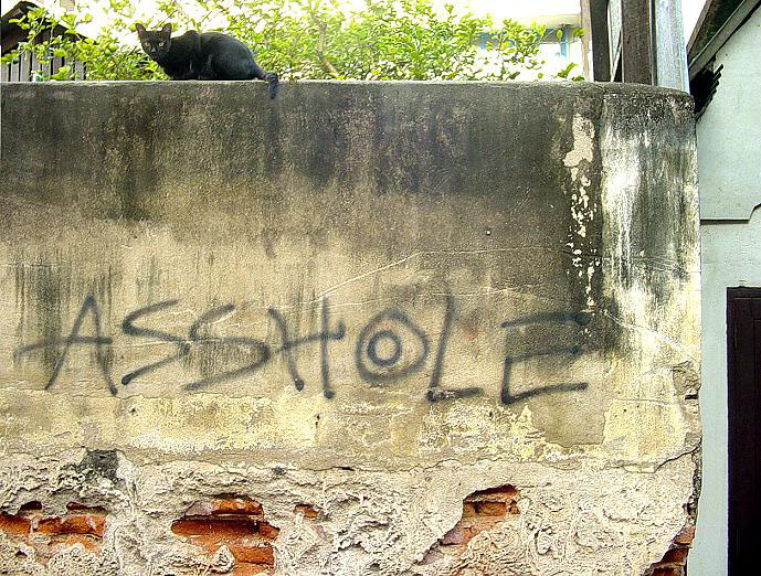 photo by a. fluffy bunny