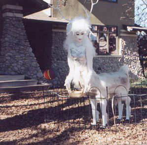 Resident alien on Sterling lawn